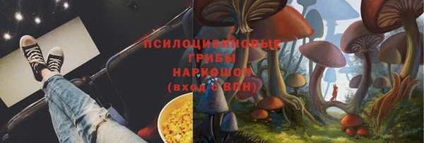 СК Семикаракорск