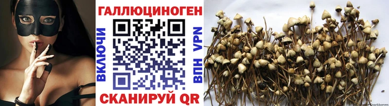Псилоцибиновые грибы Psilocybine cubensis  МЕГА маркетплейс  Гаджиево 